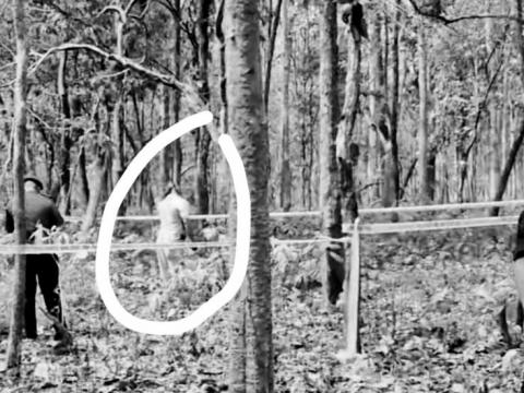 विराटनगरका दधिराम घिमिरे चारकोशे जङ्गलमा झुन्डिएको अवस्थामा फेला