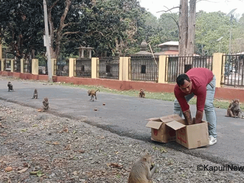 काँग्रेस नेता सन्तोषले रामधुनिमा गौशाला सामाग्री र बाँदरलाई खाद्य दिएर मनाए मातातिर्थ औशी